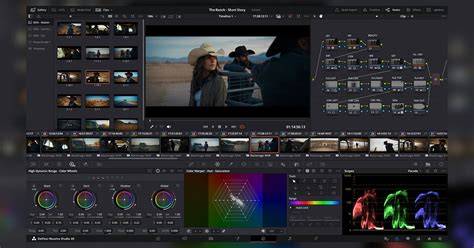 illustration flux de travail DaVinci Resolve