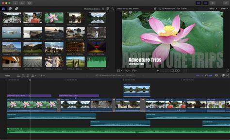illustration comparaison iMovie Final Cut Pro (8 mots)