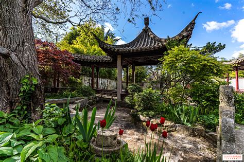 galerie-coulisses-jardin-amicale