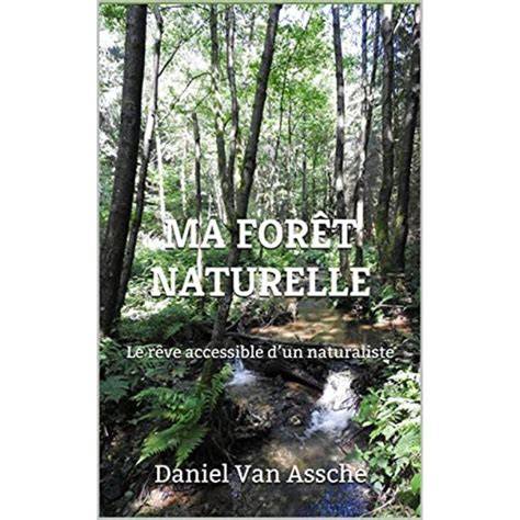 Forêt naturelle conceptuelle-éléments et disposition