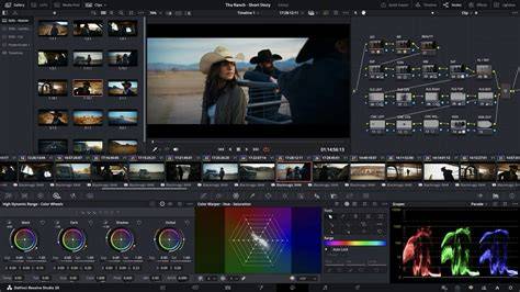 infographie-color-grading-fusion