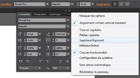 illustration mise en forme texte photo Lightroom