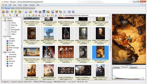 interface XnView et gestionnaire de formats