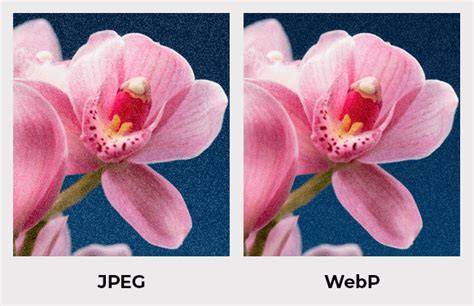 schéma comparaison WebP vs JPEG