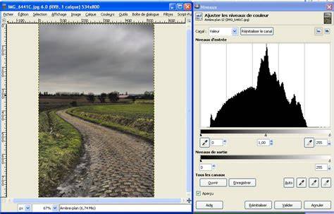 Courbes et histogramme GIMP