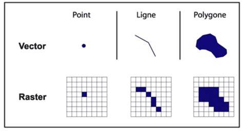 graphique comparaison vecteur et raster