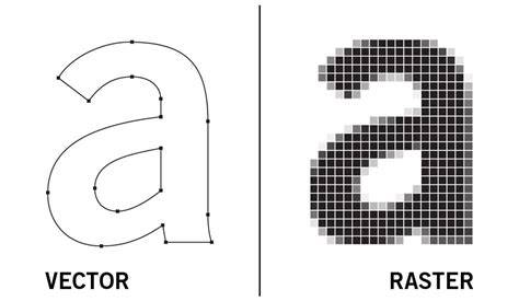 image vectorielle et raster comparaison