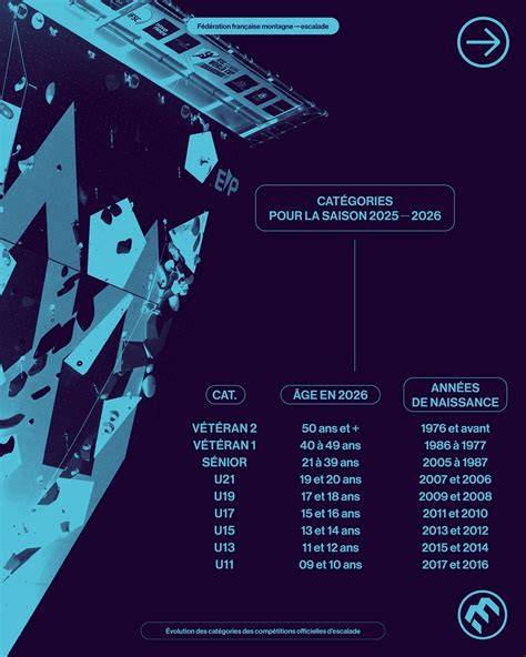 Évolution des formats de sous-titres et exportation