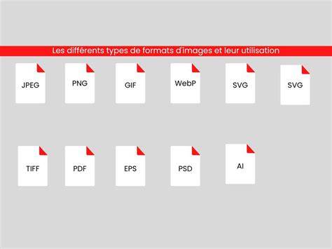 Schéma des formats Photoshop et leurs compatibilités