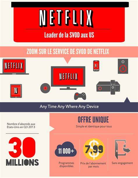 infographie: typologie des programmes Netflix sur design