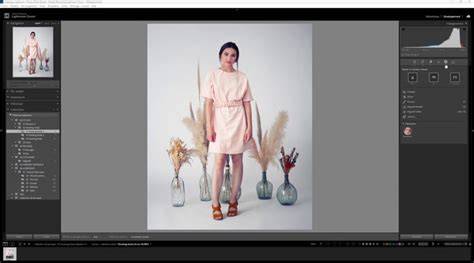 illustration dégradés et masques dans Lightroom