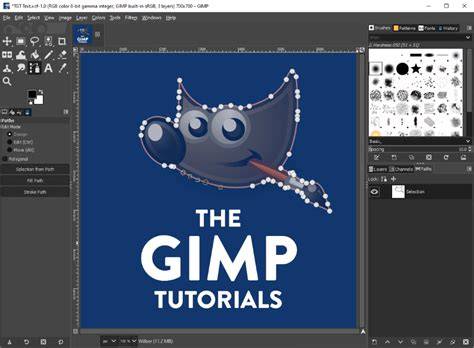 infographie flux export GIMP