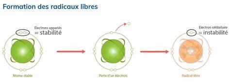 Schéma des deux radicaux de s'asseoir