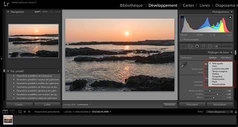 balance des blancs interface lightroom suisse