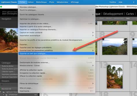 graphique_export_disques_lightroom