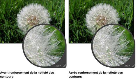 Grands principes de netteté et contours (illustration technique)