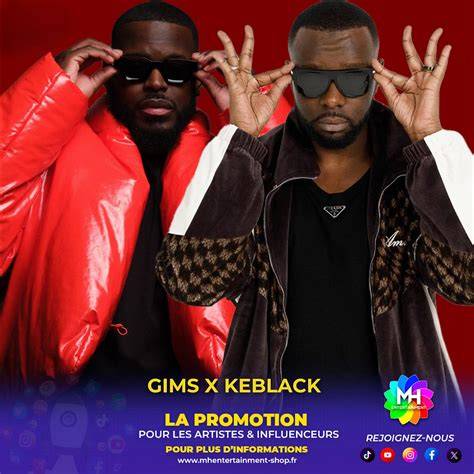 GIMS et Arcadian scène collaboration infographie (gims_arcadian_collab)