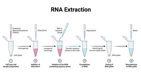 schema_extraction_cd_audio