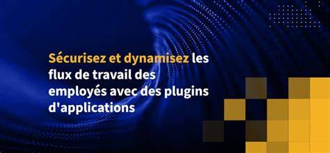Graphiques et flux de travail des plugins
