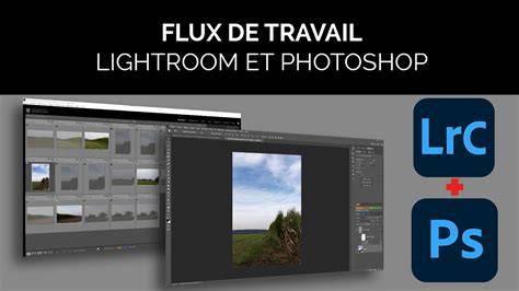 infographie flux de travail Lightroom