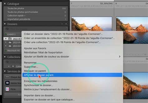 schéma flux déplacement dossier Lightroom