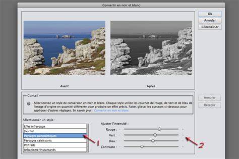 Convertir images noir et blanc diagramme