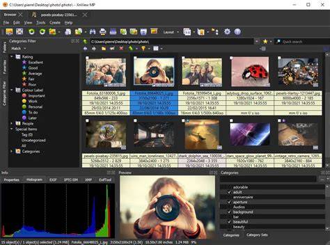 image de l’interface XnView MP en onglets