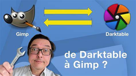 illustration fluxo RAW avec GIMP et Darktable