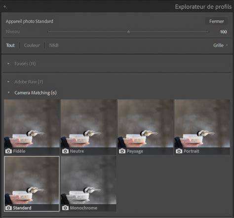 image de profils Camera Matching et profils Lightroom