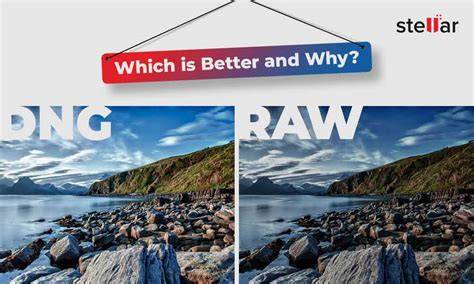 diagramme comparaison RAW vs DNG