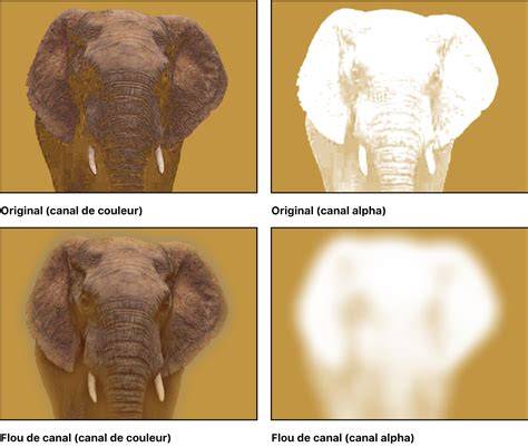 masques et canaux alpha explicites