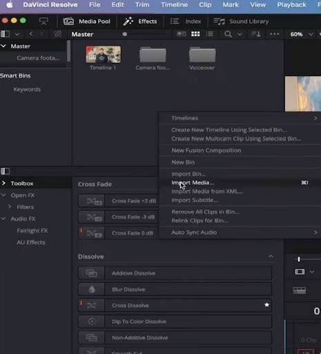 interface de bibliothèque de médias DaVinci Resolve