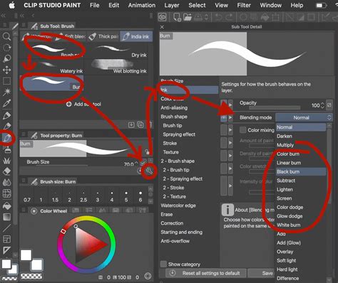 infographics overview CLIP STUDIO PAINT workflow