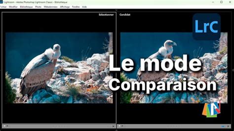 Diagramme comparaison RAM/CPU/GPU Lightroom