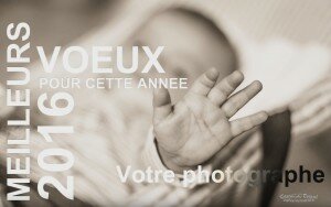 Des vœux à ma façon ...La rétrospective 2015 !